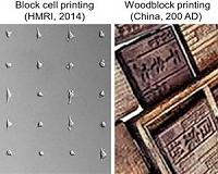 New live-cell printing technology works like ancient Chinese woodblocking