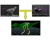 Locomotion of bipedal dinosaurs might be predicted from that of ground-running birds