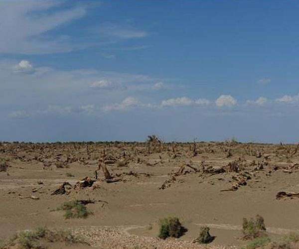 Nearly 30,000 facing 'climate change famine' in Madagascar: UN