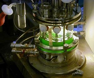Algae-Based Biofuels Represent a Trillion Dollar Potential Market Opportunity