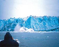 Gulf of Alaska glacier melt is studied