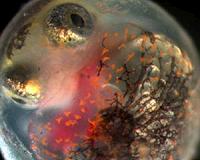 'The Great Invisible' shows blood spilled for oil
