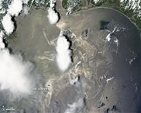 Dispersants fail: Half the spilled BP oil may be on Gulf floor