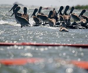 Storm derails BP oil spill efforts
