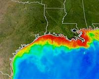 NOAA, USGS, partners predict an average 'dead zone' for Gulf of Mexico