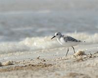 California beach to reopen after May oil spill