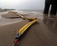 Oil from spill in Brazil washes up in Rio state