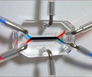 Harvard's Wyss Institute Creates Living Human Gut-on-a-Chip