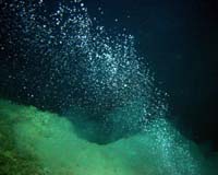 Munching Microbes Help Battle Against Global Warming