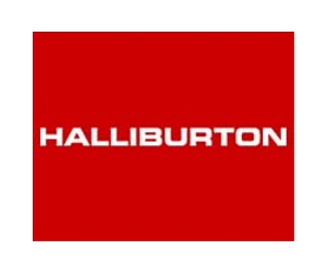 Halliburton admits destroying US oil disaster evidence
