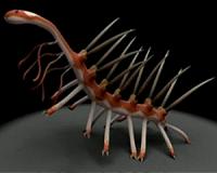 Ring of teeth uncovers common ancestor of molting animals