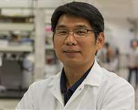 Learning from photosynthesis