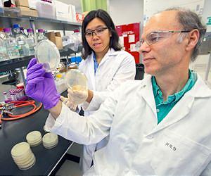 A Fragrant New Biofuel
