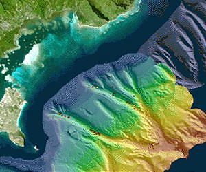 Submarine canyons a source of marine invertebrate diversity, abundance