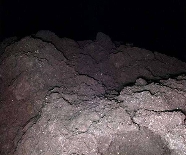 Asteroid samples contain 'clues to origin of life': Japan scientists
