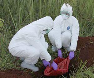 Health experts narrow the hunt for Ebola