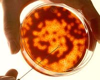 Analysis: Old Drugs, New Tricks?