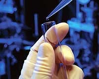 Interview: Clearant's CEO on tissue safety