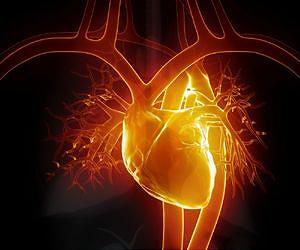 Artificial heart to pump human waste into future robots