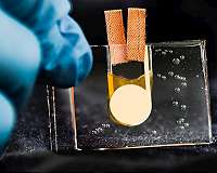 The world's first heat-driven transistor