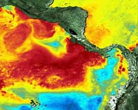 Medspiration Project Branches Out To Support Biodiversity