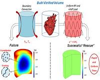 RF heating of magnetic nanoparticles improves thawing of cryopreserved biomaterials