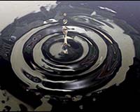 Walker's World: The oil curse