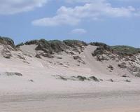 Mineralization of sand particles boosts microbial water filtration