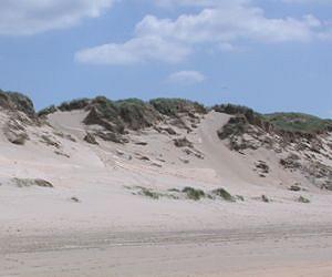 Luminous grains of sand determine year of historic storm flood