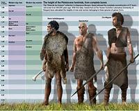 New tools identify key evolutionary advantages from ancient hominid interbreeding