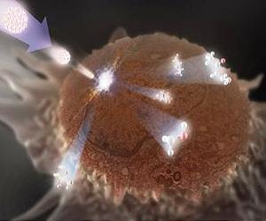 Little Off The Top' Helps Nist Map Cells With Submicrometer Resolution