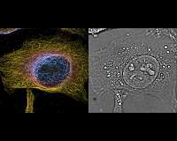 Super-resolution microscopy in both space and time