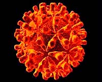 US lawmakers push to ramp up hepatitis battle