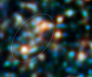 Herschel Space Observatory study reveals galaxy-packed filament