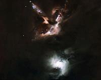 Searching for Orphan Stars Amid Starbirth Fireworks
