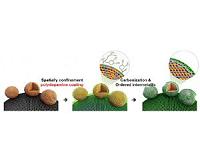 Electrocatalyst nanostructures key to improved fuel cells, electrolyzers