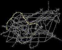 Clearing a path for electrons in polymers: Closing in on the speed limits