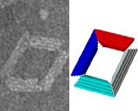 DNA origami could lead to nano 'transformers' for biomedical applications