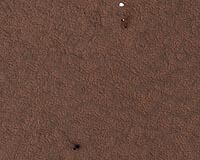 Orbiting HiRISE Camera Saw Phoenix Heat Shield In Freefall