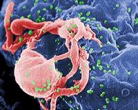 US okays Roche test to identify HIV, hepatitis viruses