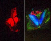 Holograms go mainstream, with future full of possibility