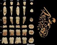 Oldest ever human genetic evidence clarifies dispute over our ancestors