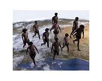 Homo sapiens developed a new ecological niche that separated it from other hominins