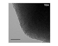 New silicon structures could make better biointerfaces