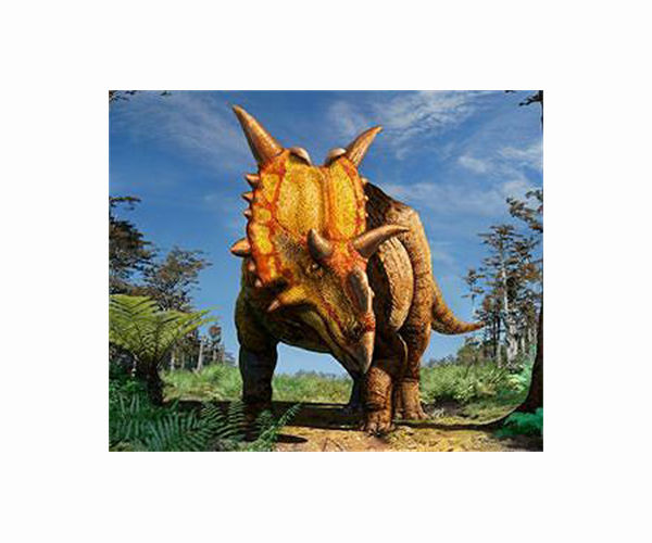 Scientists reveal new species of horned dinosaur that roamed northern U.S.