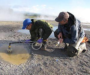 Siberian hot springs reveal ancient ecology