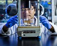 Pine and poplar wood improve sunlight-driven water purification