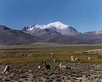 1600 Eruption Caused Global Disruption