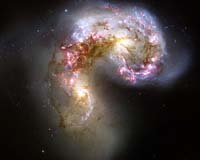 Antennae Galaxies Make For A Fertile Marriage In Stellar Chemistry Writ Large
