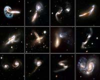 Galaxies Gone Wild